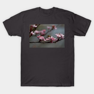 Bee, blossom and promise of spring T-Shirt